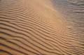 tunisie_nefta_45