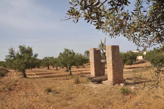 djerba_12