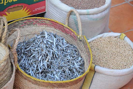 djerba_houmt_souk_052