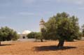 djerba_el_may_099