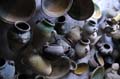djerba_houmt_souk_029