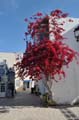 djerba_houmt_souk_055