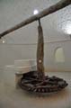 djerba_mosquee_fadhloun_113
