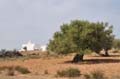 djerba_mosquee_fadhloun_116